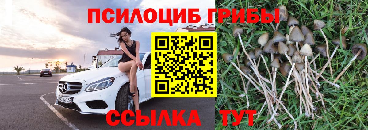 Псилоцибиновые грибы мицелий Алексин
