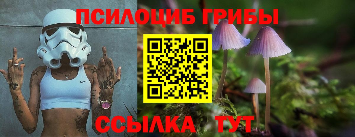 Псилоцибиновые грибы мухоморы  Вход с VPN  Алексин 